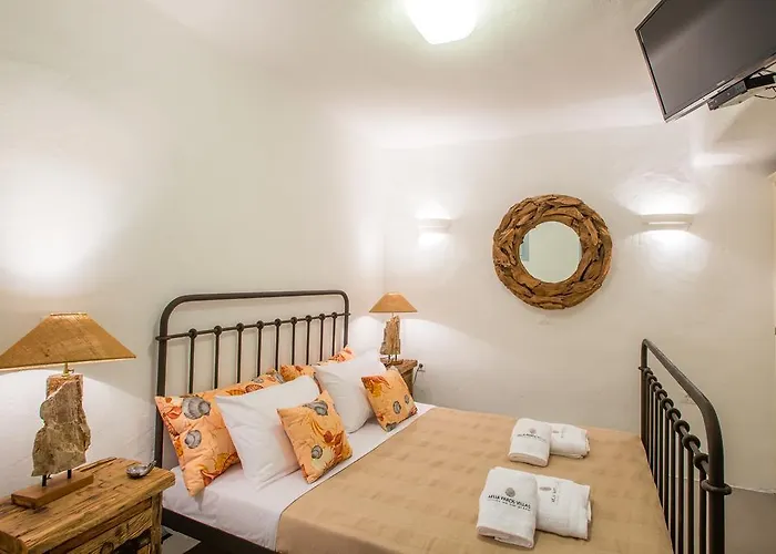 Villa Aelia Paros Chrisi Akti (Paros)