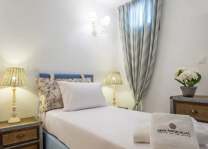 Villa Aelia Paros Beachfront Chrisi Akti (Paros)